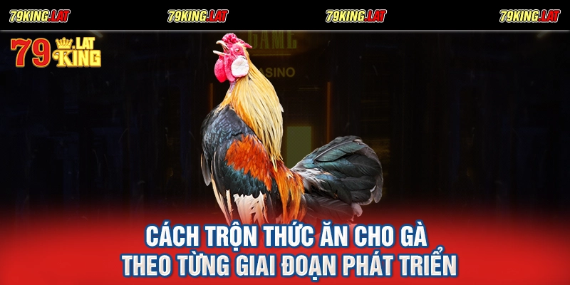 Cách trộn thức ăn cho gà theo từng giai đoạn phát triển