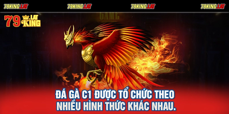 Đá gà C1 được tổ chức theo nhiều hình thức khác nhau.