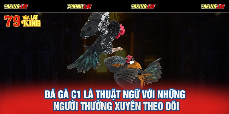 Đá gà C1 là thuật ngữ với những người thường xuyên theo dõi