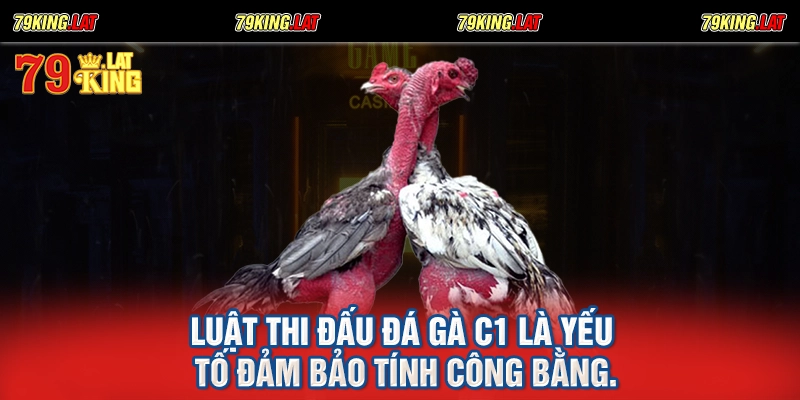 Luật thi đấu đá gà C1 là yếu tố đảm bảo tính công bằng.