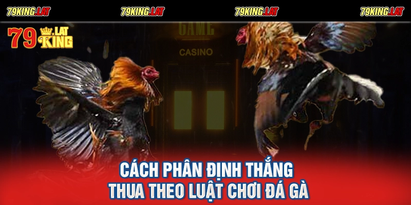 Cách phân định thắng thua theo luật chơi đá gà