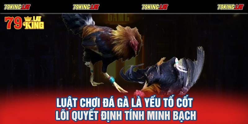 Luật chơi đá gà là yếu tố cốt lõi quyết định tính minh bạch