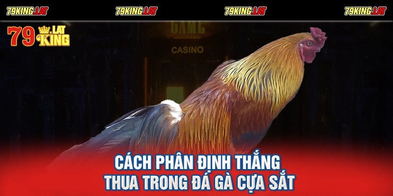Cách phân định thắng thua trong đá gà cựa sắt