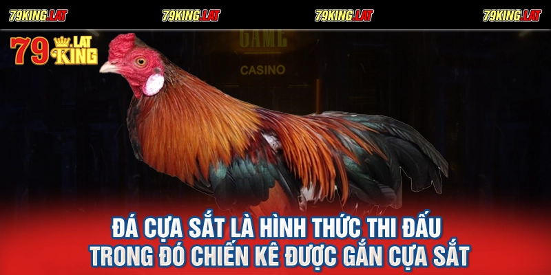 Đá cựa sắt là hình thức thi đấu trong đó chiến kê được gắn cựa sắt