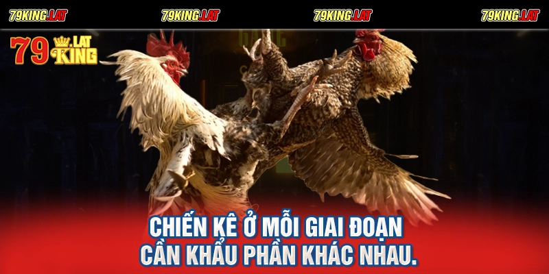 Chiến kê ở mỗi giai đoạn cần khẩu phần khác nhau.