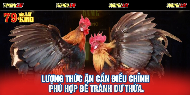 Lượng thức ăn cần điều chỉnh phù hợp để tránh dư thừa.